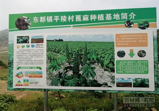 岳的大肥屁熟妇五十路99