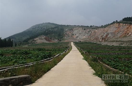 岳的大肥屁熟妇五十路99