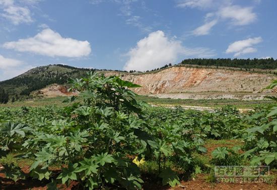 岳的大肥屁熟妇五十路99