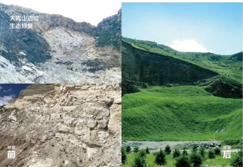 矿山修复前假山施工